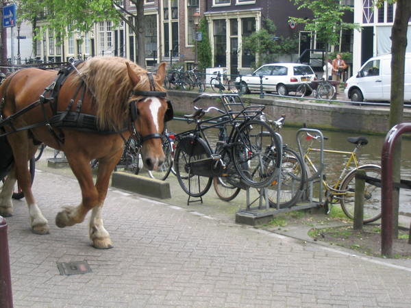 amsterdam 2004 2586