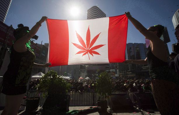 canada cannabis flag